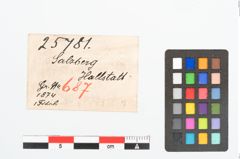 Etikett zu Bronzebogenfibel (NHMW-PRAE-025781)